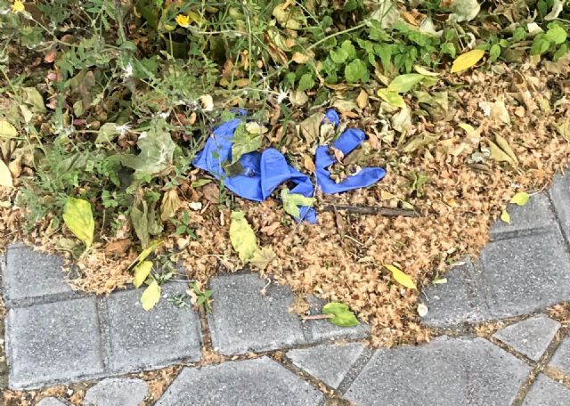 Hacen un llamamiento a la sociedad contra el abandono de guantes y mascarillas durante la etapa de desconfinamiento - 1, Foto 1