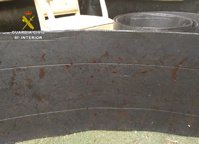 La Guardia Civil desmantela en Águilas un tentadero ilegal dedicado a peleas de gallos - 4, Foto 4