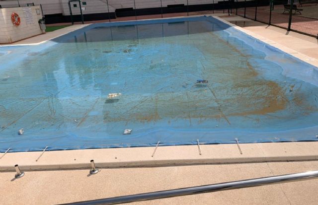 Sanidad refuerza la actuación contra los mosquitos en el municipio - 1, Foto 1