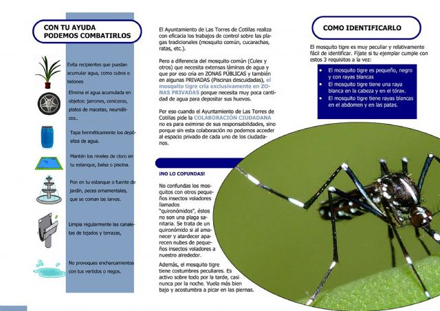 El Ayuntamiento continúa con sus medidas contra la proliferación del mosquito tigre - 2, Foto 2