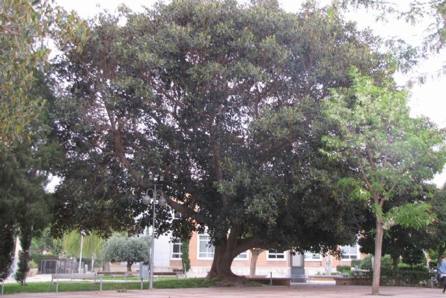 Jesús Ochoa: «La irrupción del COVID-19 es el resultado de la alteración del medio natural y de su equilibrio ecológico» - 1, Foto 1