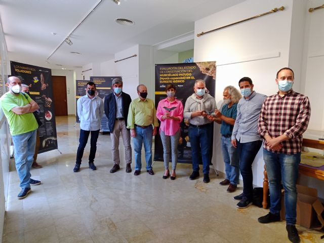 Una exposición divulga la vida secreta del murciélago patudo en Santomera - 3, Foto 3