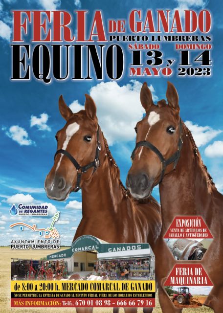 Puerto Lumbreras volverá a acoger una nueva edición de la tradicional Feria de Ganado Equino - 1, Foto 1