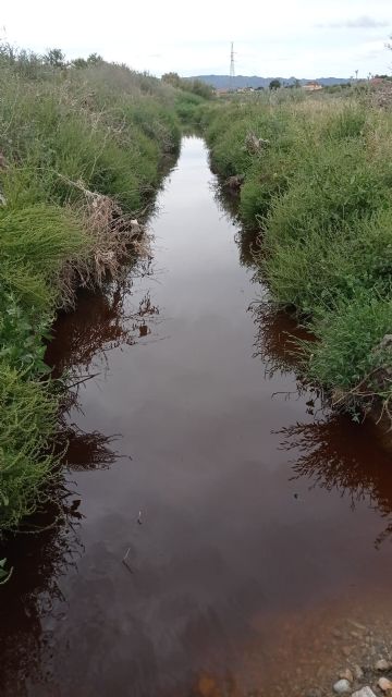 La izquierda alerta sobre los peligros de mezclar aguas contaminadas del curtido con las urbanas en la edar de la hoya y después usarlas para regar - 1, Foto 1