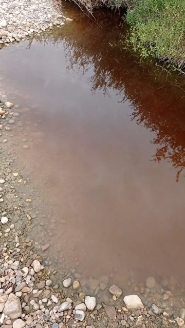 La izquierda alerta sobre los peligros de mezclar aguas contaminadas del curtido con las urbanas en la edar de la hoya y después usarlas para regar - 2, Foto 2
