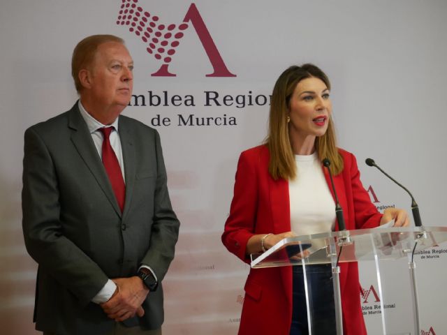 El PP lamenta el paripé de PSOE, Vox y Podemos, porque queda constatado que las derivaciones del SMS a la sanidad privada se hicieron conforme a ley - 1, Foto 1