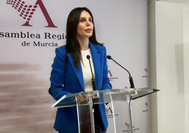 Sánchez: “La falta de transparencia del Servicio Murciano de Salud impide a esta comisión investigar las contrataciones en la sanidad regional” - 1, Foto 1