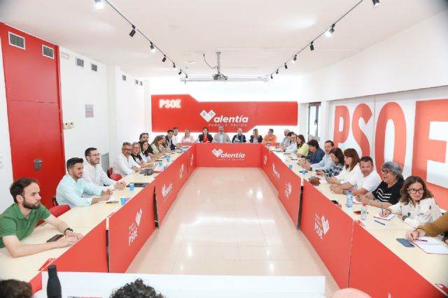 Carmina Fernández, elegida portavoz del Grupo Parlamentario Socialista - 2, Foto 2