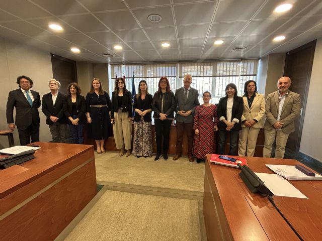 El Colegio Oficial de Enfermer�a y SATSE cierran las audiencias legislativas sobre la Proposici�n de Ley sobre infracciones en materia de agresiones a profesionales sanitarios, Foto 2