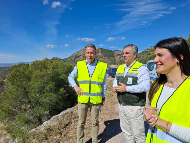 Medio Ambiente interviene en 9.100 hect�reas y completa el 80 por ciento de las actuaciones previstas para frenar el decaimiento forestal, Foto 2