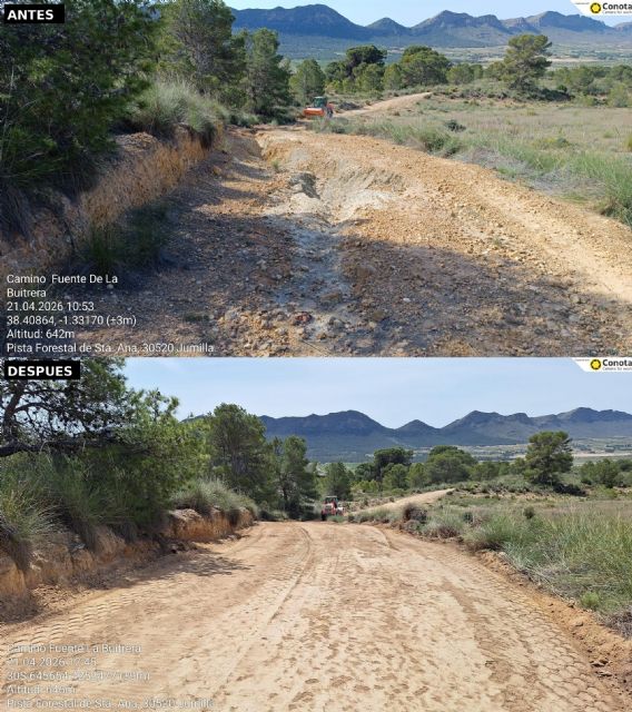 Avanza el protocolo de actuación en caminos rurales con trabajos significativos durante los últimos meses - 5, Foto 5