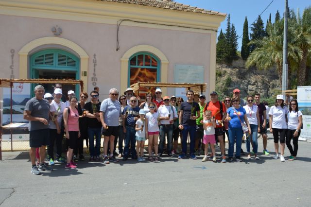 Blanca plantará 300 palmeras para repoblar las dañadas por el picudo rojo - 1, Foto 1