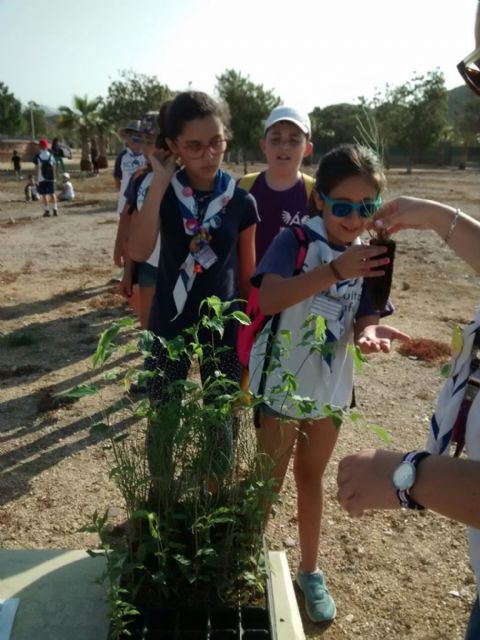 Numerosas actividades para conmemorar el Día Mundial del Medio Ambiente - 3, Foto 3