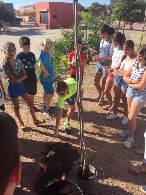 Águilas celebra el Día Mundial del Medio Ambiente - 1, Foto 1