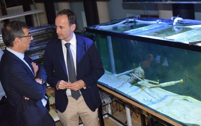 La Comunidad estudia con la Universidad de Murcia crear un Banco de Especies del Mar Menor para garantizar su biodiversidad - 1, Foto 1