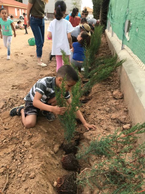 Plantación de cipreses para celebrar el Día del Medio Ambiente - 2, Foto 2