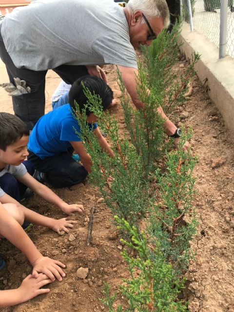 Plantación de cipreses para celebrar el Día del Medio Ambiente - 3, Foto 3