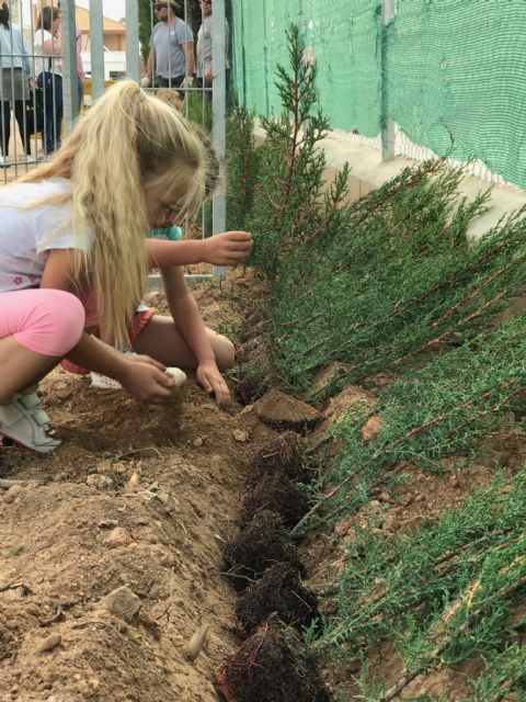 Plantación de cipreses para celebrar el Día del Medio Ambiente - 4, Foto 4