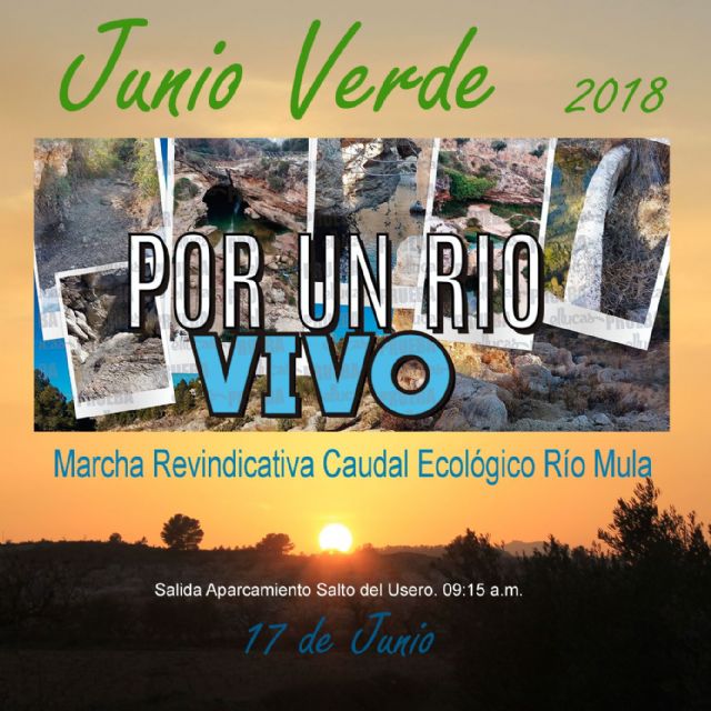 Continúan las actividades Junio Verde - 2, Foto 2