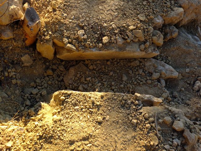 Restauracin de la red de senderos en la sierra de La Muela, Foto 6