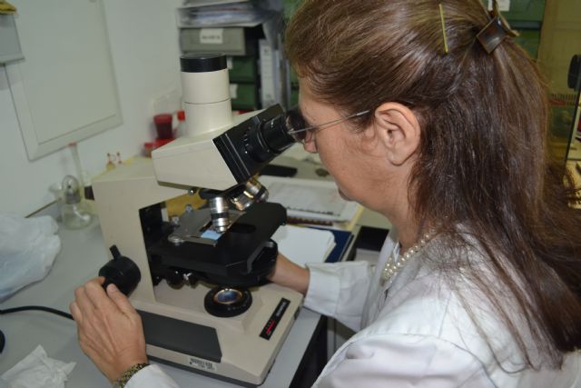 Expertos de la UPCT reclaman que la legislación ambiental incluya la contaminación biológica que genera alergias y asma - 2, Foto 2