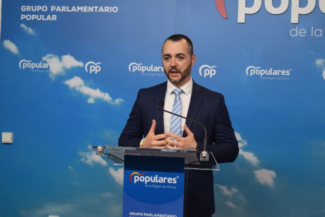 El PP propone una Estrategia de Educación Ambiental para que los niños piensen y actúen en verde - 1, Foto 1