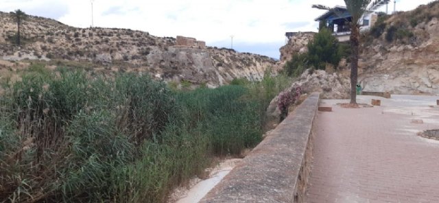 El Ayuntamiento reivindica a Confederación Hidrográfica la limpieza del río Mula - 1, Foto 1