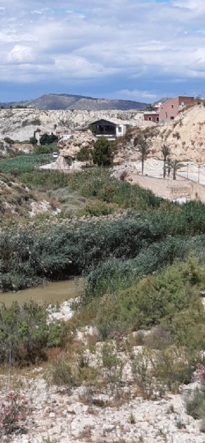 El Ayuntamiento reivindica a Confederación Hidrográfica la limpieza del río Mula - 2, Foto 2
