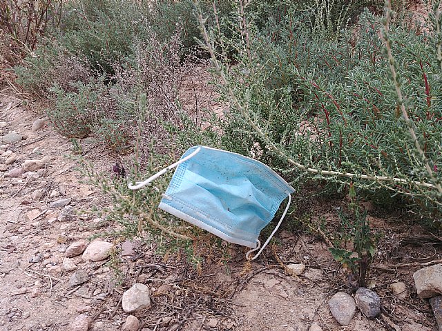 España; a la cola en reciclaje, movilidad eléctrica y cuidado del medioambiente - 1, Foto 1