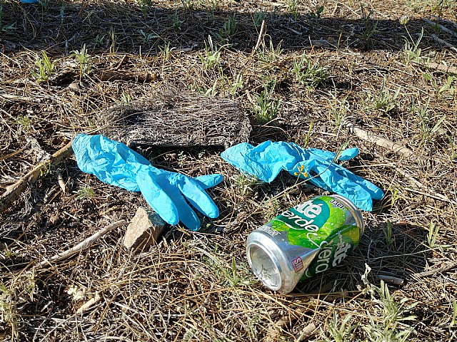 España; a la cola en reciclaje, movilidad eléctrica y cuidado del medioambiente - 2, Foto 2