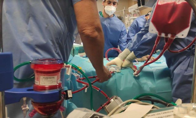 El equipo ECMO de La Arrixaca logra mantener con vida a un recién nacido de tres kilos con cardiopatía congénita grave - 1, Foto 1