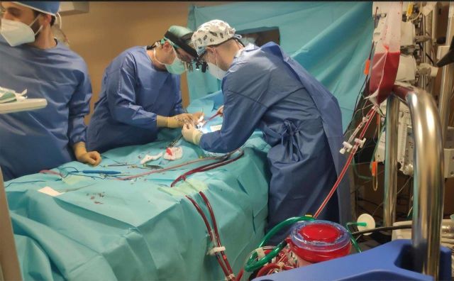 El equipo ECMO de La Arrixaca logra mantener con vida a un recién nacido de tres kilos con cardiopatía congénita grave - 3, Foto 3