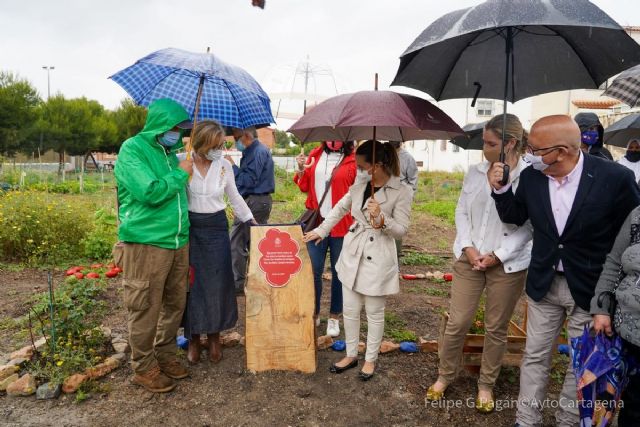 San Antón y Canteras estrenas huertos urbano y ecológico - 1, Foto 1