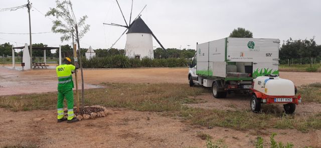 Torre Pacheco se une a la iniciativa Un árbol por Europa - 2, Foto 2