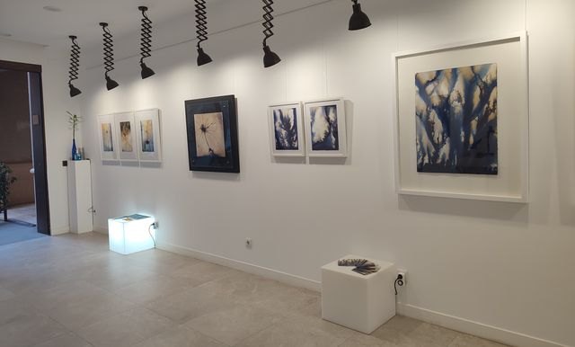 El pintor Antonio Tapia enciende una ‘Luz en las tinieblas’ ante la enfermedad de la pérdida de memoria - 3, Foto 3