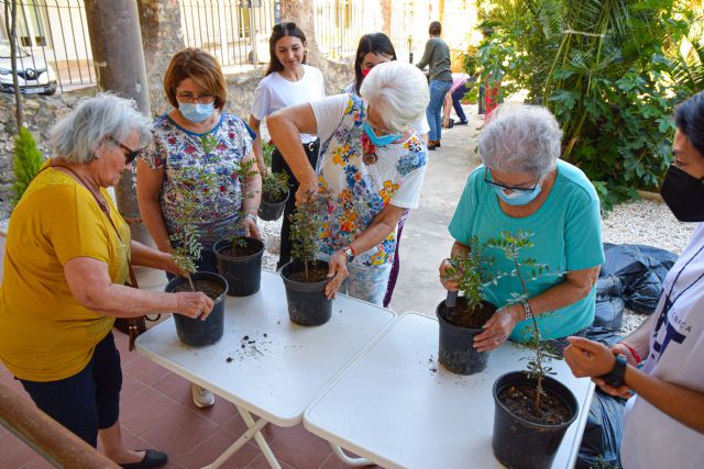 Personas mayores de Cartagena plantan especies autóctonas para revitalizar el jardín de La Milagrosa - 1, Foto 1