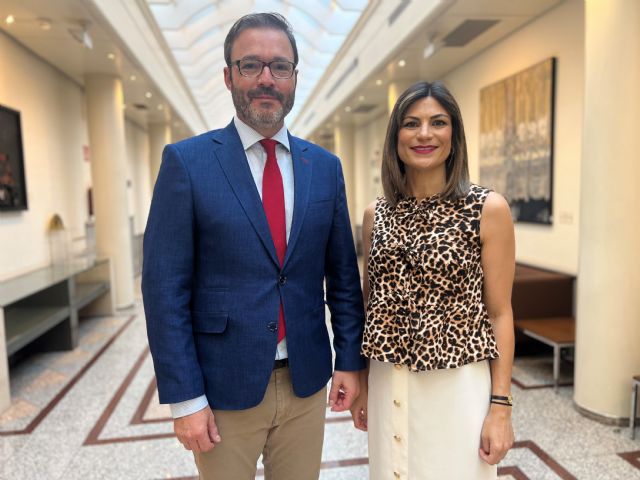 Moción del Grupo Socialista rechazada en el Pleno del Senado - 1, Foto 1