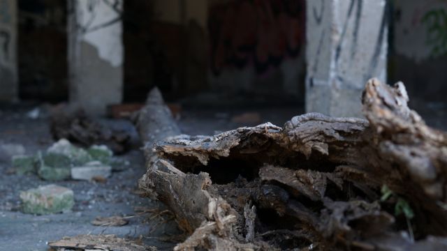 Cineasta Cordobés Juan Antonio Chavero anuncia La Luz, secuela de La Sombra - 2, Foto 2