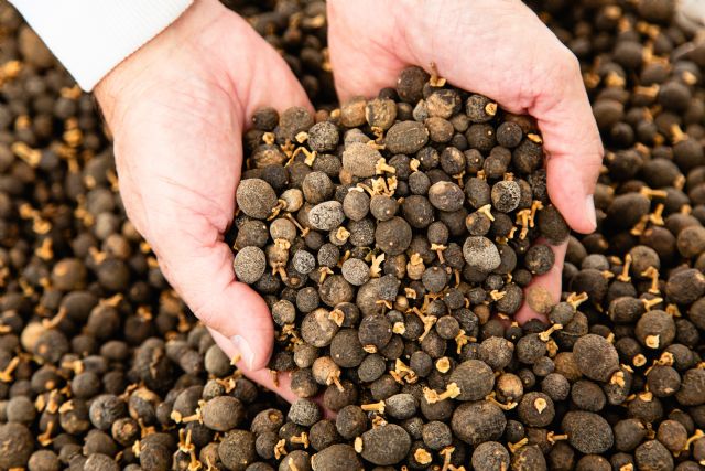 HTBA reafirma su compromiso con la sostenibilidad como estrategia transversal - 2, Foto 2