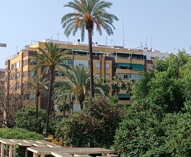 El PSOE denuncia la mayor subida del IBI en la historia de Molina de Segura aprobada por el PP y VOX - 1, Foto 1