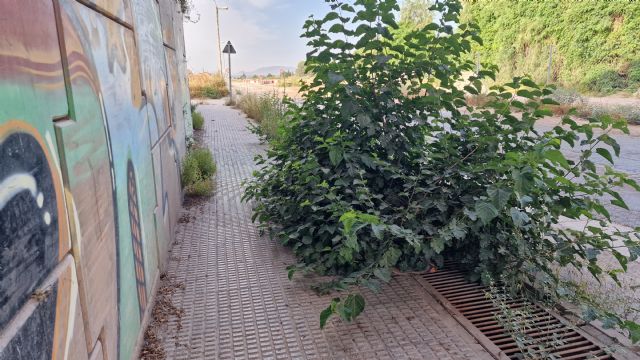 El PSOE de Lorca reclama la reparación y adecuación del paso peatonal bajo el puente de la Avenida Sutullena - 1, Foto 1