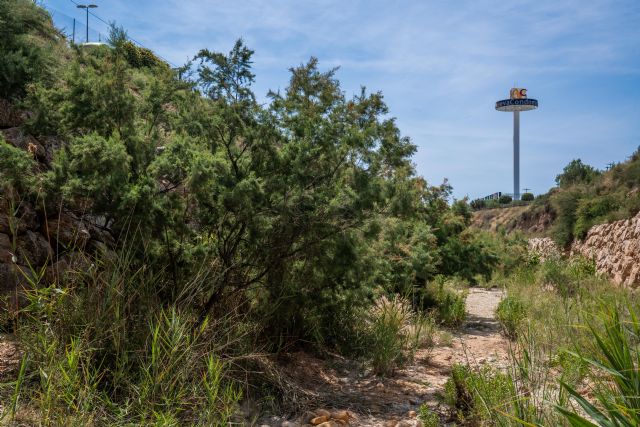 Nueva Condomina recoge más de 320 kg de basura en la rambla de Churra junto con La Fundación Legado Humano Natural y Circúbic - 3, Foto 3