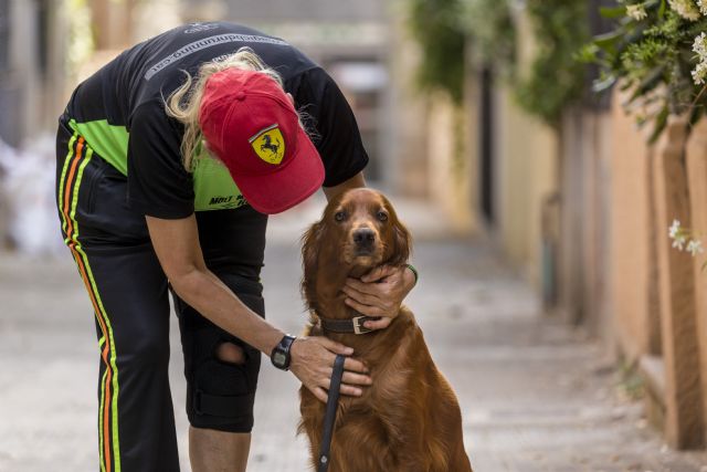 Según un estudio de la Cátedra Fundación Affinity Animales y Salud de la UAB, y FAADA - 2, Foto 2