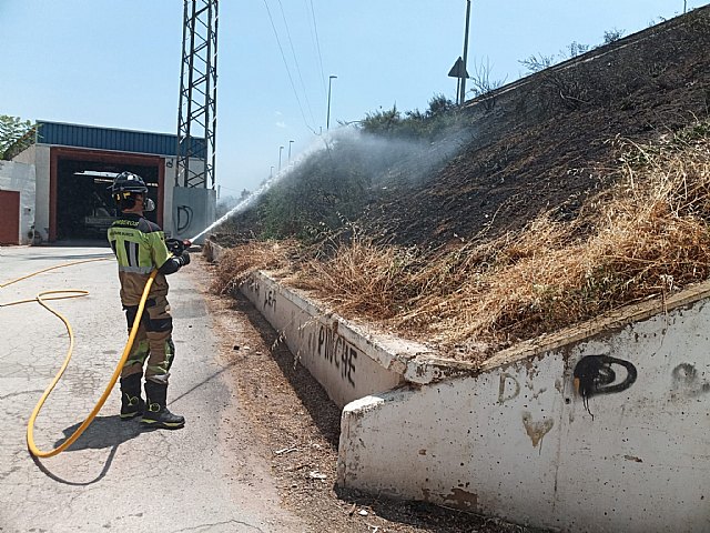 Bomberos apagan un incendio de vegetación junto a la autovía RM-11, en Lorca - 1, Foto 1