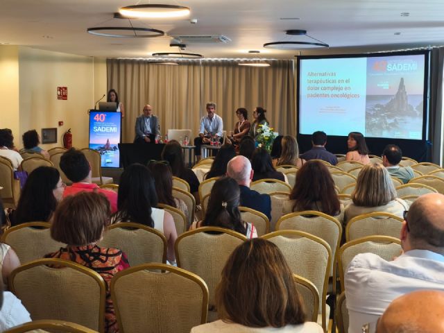 Más de 200 especialistas se reúnen en Almería para abordar los retos actuales de la Medicina Interna en el 40&deg; Congreso de SADEMI - 2, Foto 2