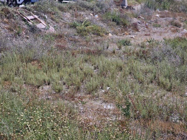 El PSOE de Lorca exige a Fulgencio Gil el mantenimiento inmediato de los solares municipales ante el riesgo de incendios - 3, Foto 3