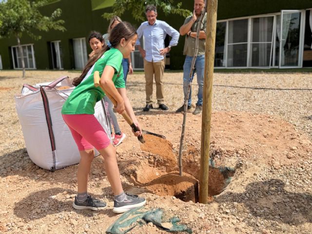 El Plan Sombras llega al CEIP El Alba de Roldán por el Día Mundial del Medio Ambiente - 5, Foto 5