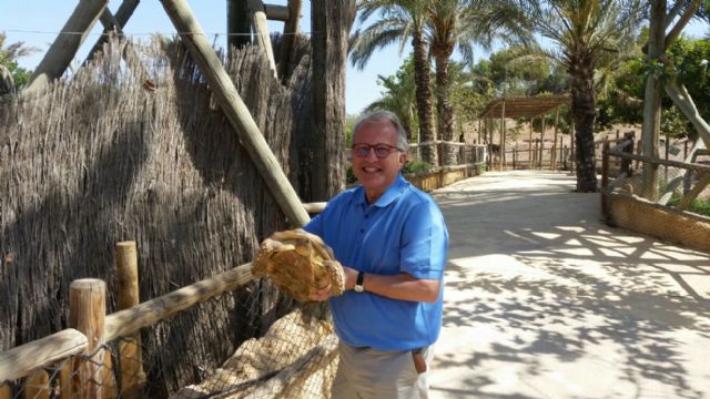 El Ayuntamiento de Murcia entrega una tortuga perdida y de gran tamaño al Parque de animales Terra Natura - 2, Foto 2