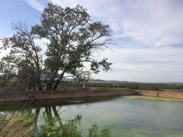 Tres yeclanos galardonados en los premios de investigación josé maría soler 2016 de villena - 1, Foto 1