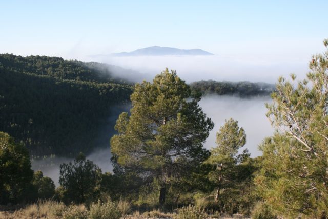 Tres yeclanos galardonados en los premios de investigación josé maría soler 2016 de villena - 2, Foto 2